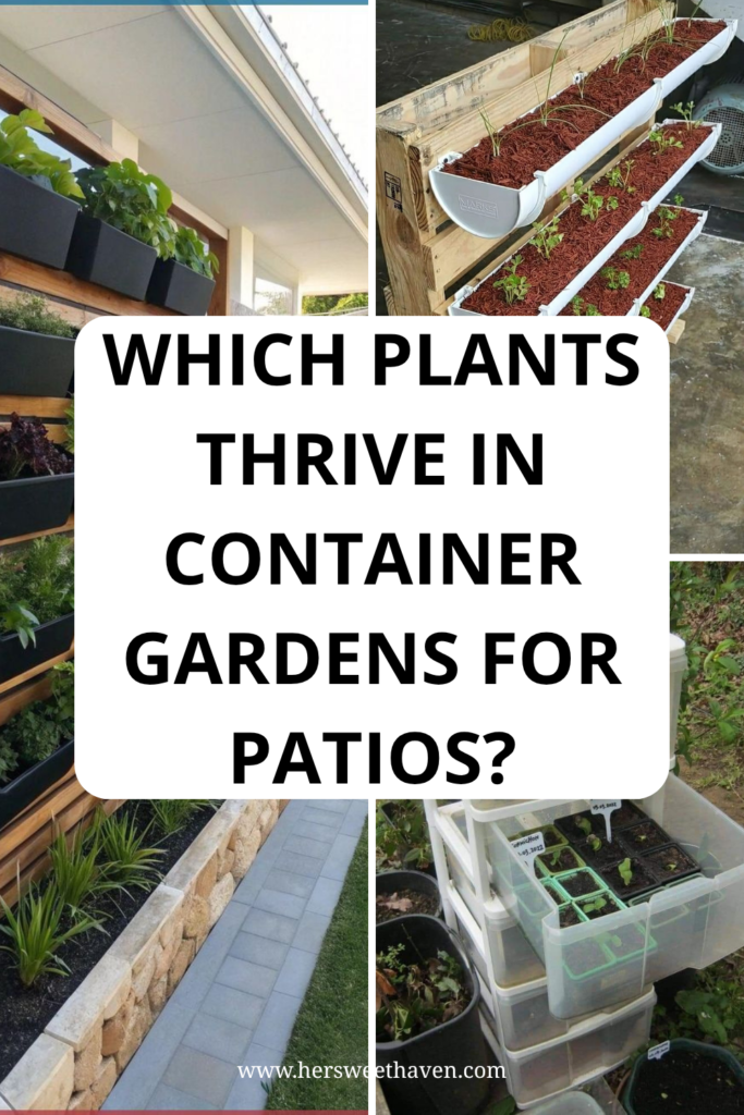 Flowers and Greenery That Fill Out Your Containers
