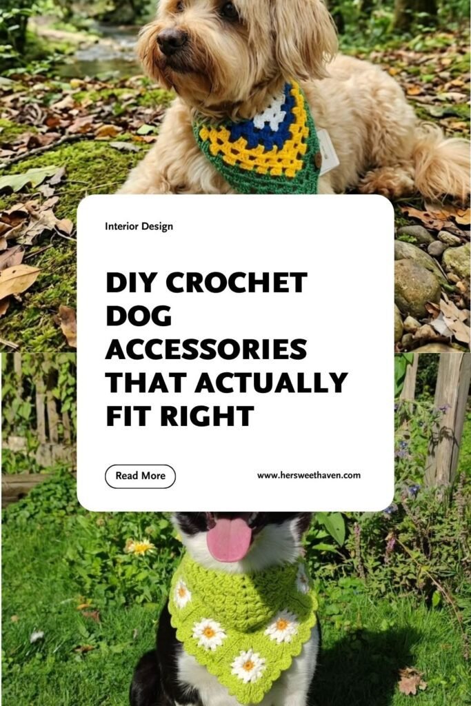 Pet Accessories That Actually Fit