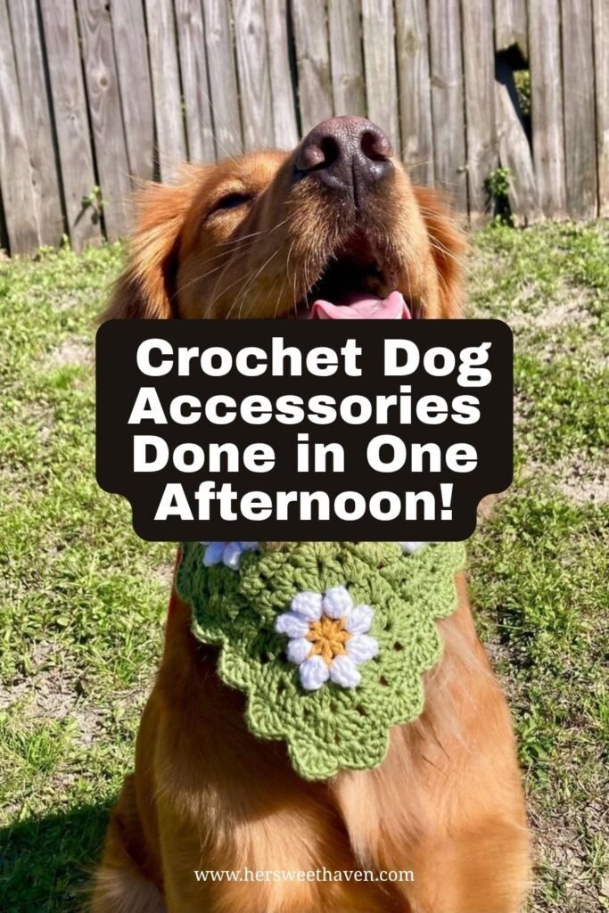 Pet Accessories That Actually Fit