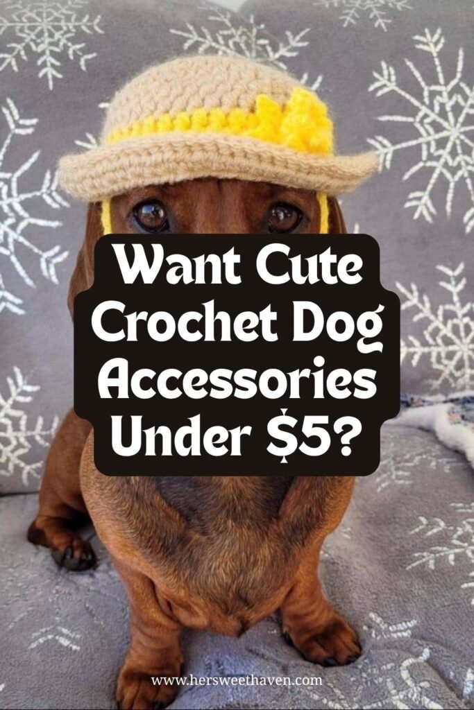Pet Accessories That Actually Fit