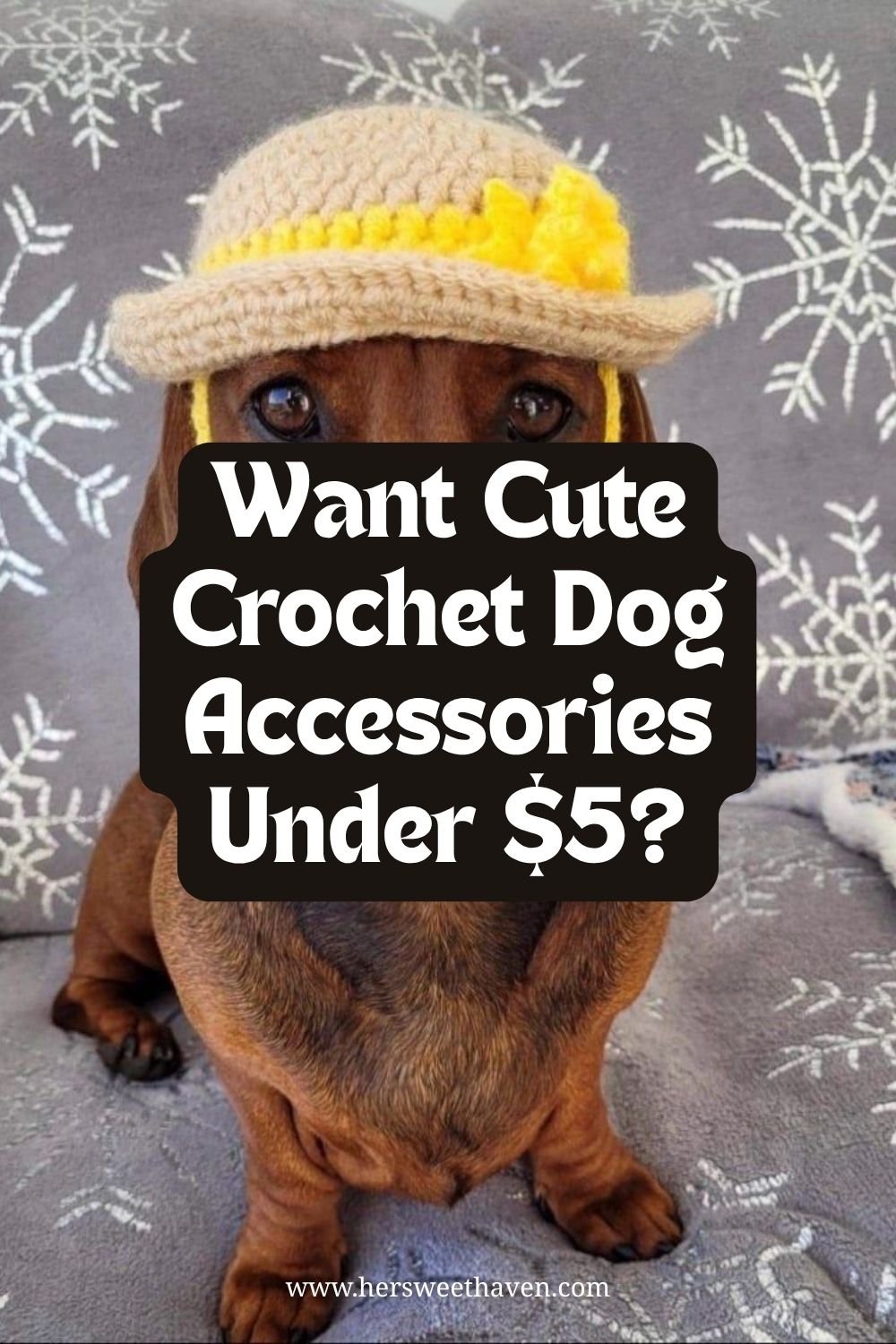 Cheap DIY Crochet Pet Accessories You Can Make Easily at Home
