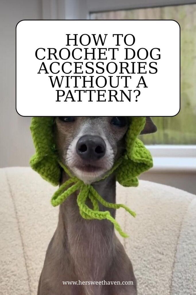 Pet Accessories That Actually Fit