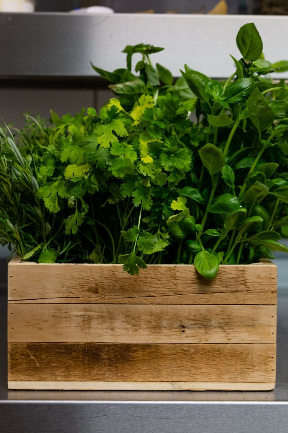 How To Make Your Indoor Herb Garden Beautiful and Thriving