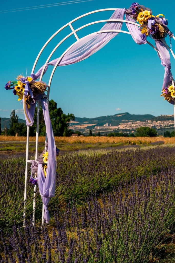 Arch draped in sheer lilac fabric in a lavender field with mountains behind