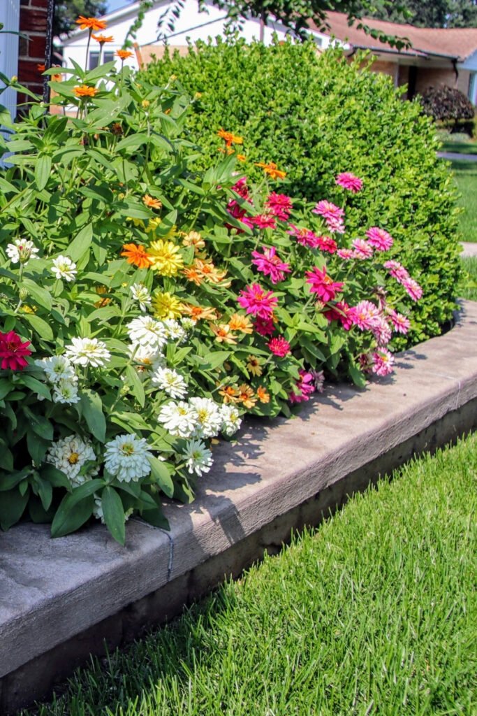 Colorful flower border with natural stone edging next to a lawn