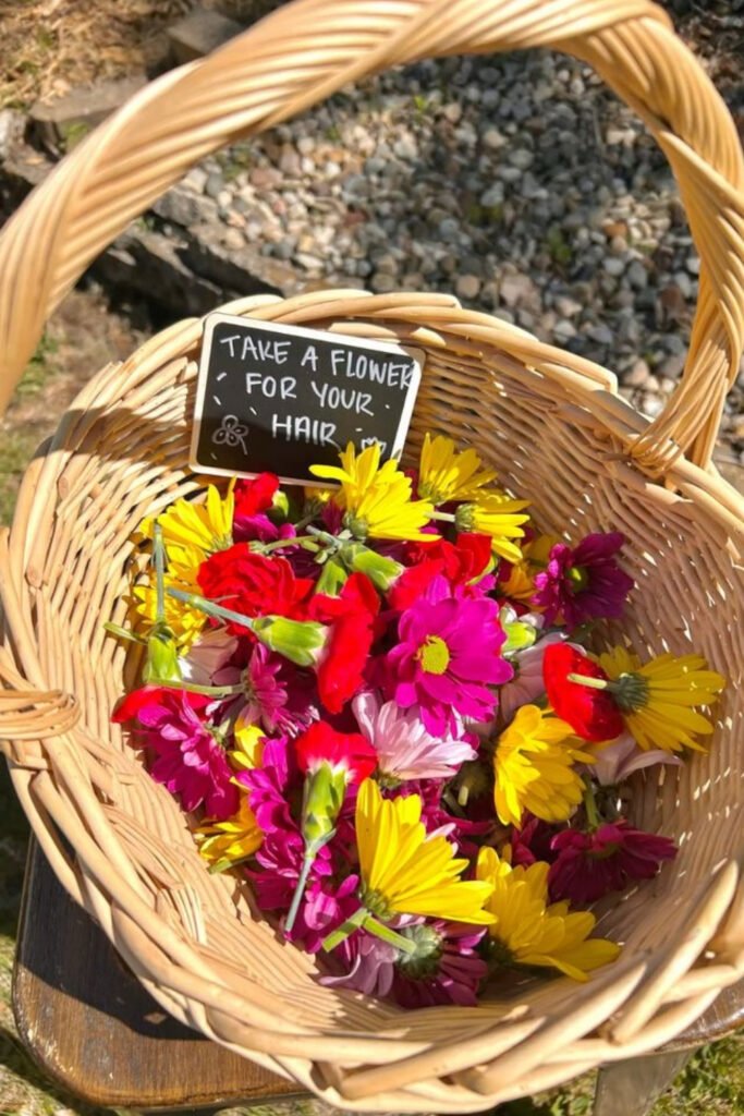 Basket of gerbera daisies with a graduation sign